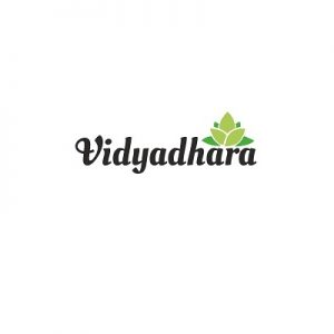 Vidyadhara logo